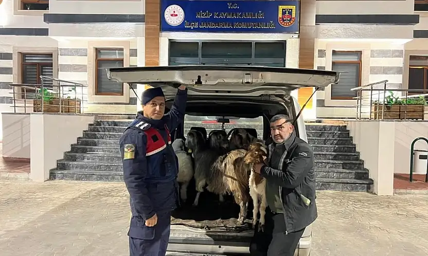 Sahte para ile hayvan alarak besiciyi dolandıran şahıslar yakalandı