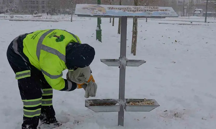Şehitkamil sokak hayvanlarını unutmadı